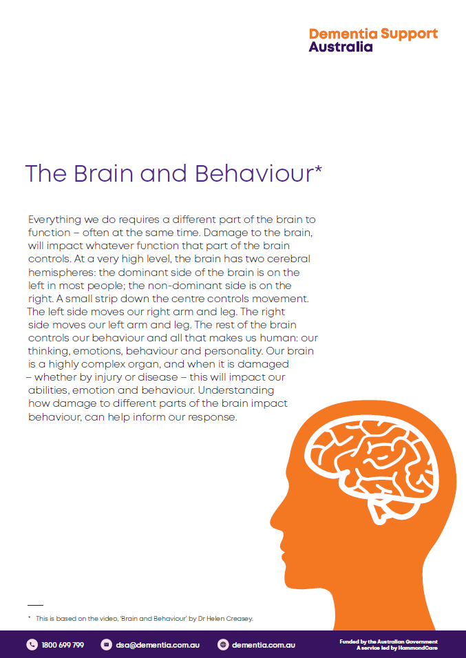 brain and behaviour